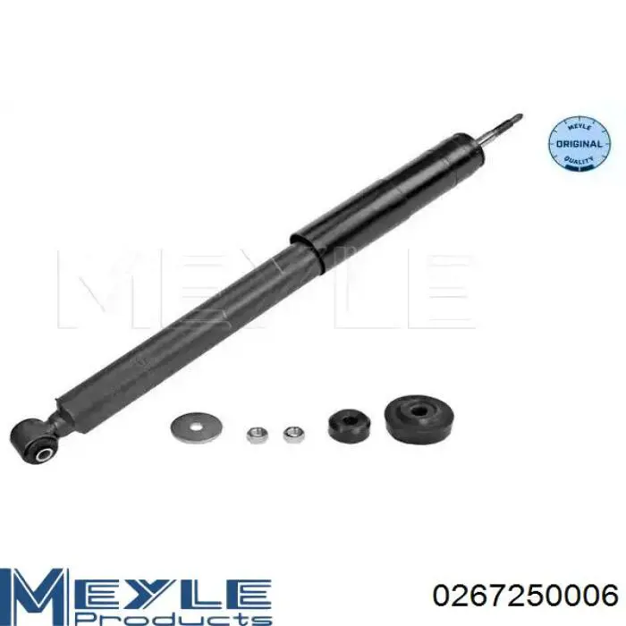Amortyzator tylny Raiso RS317257 cena, od 39,14 USD