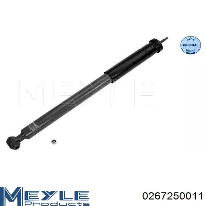 RS317384 Raiso Amortyzator tylny