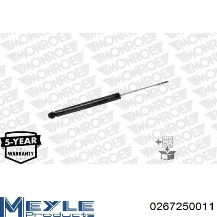 Amortyzator tylny Raiso RS317384 cena, od 40,00 USD