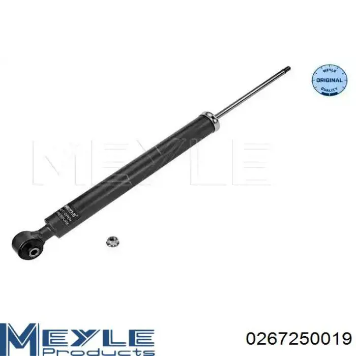 Amortyzator tylny Raiso RS317266 cena, od 36,55 USD