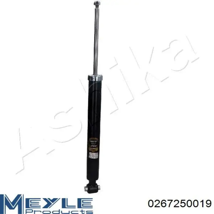 Do koszyka RS317266 Raiso Amortyzator tylny