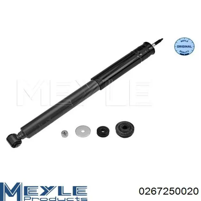 Amortyzator tylny Raiso RS317337 cena, od 34,25 USD