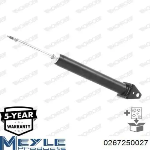 Amortyzator tylny RS315235 Raiso