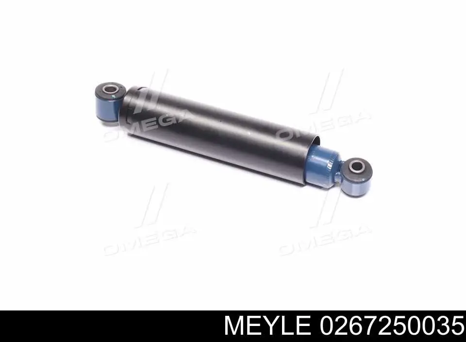 Amortyzator tylny RS290377 Raiso