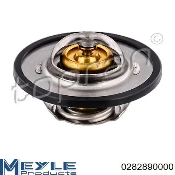 Do koszyka 0282890000 Meyle Termostat