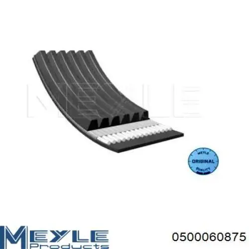 Do koszyka 4627043AA Chrysler Pas napędowy mechanizmów