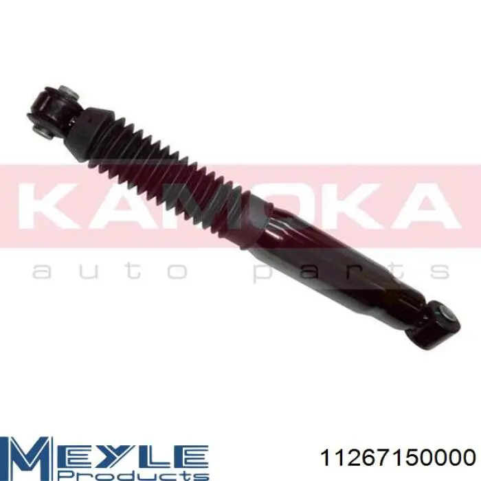 Do koszyka RS280435 Raiso Amortyzator tylny