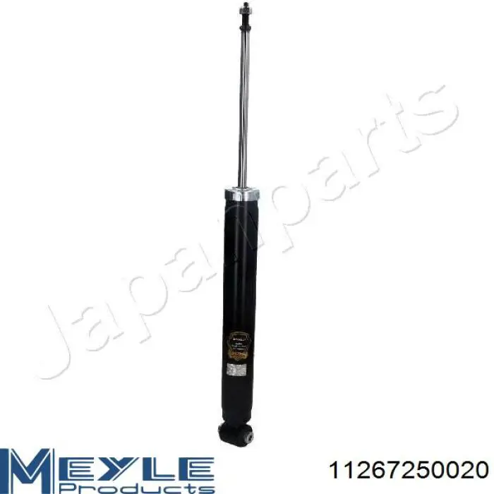 Do koszyka RS315853 Raiso Amortyzator tylny