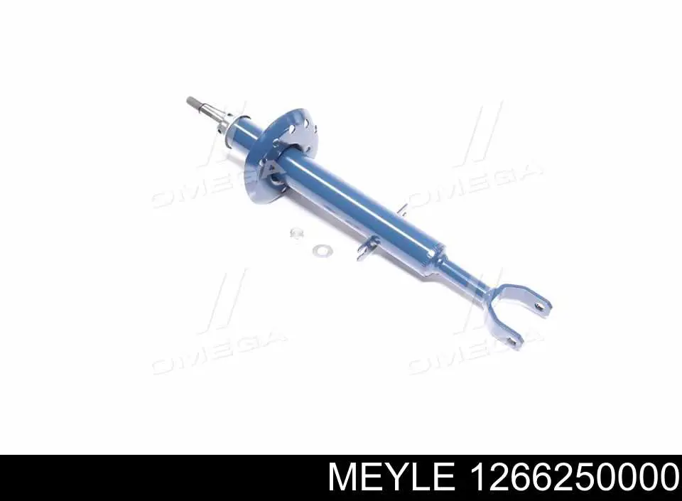 RS316997 Raiso Amortyzator przedni