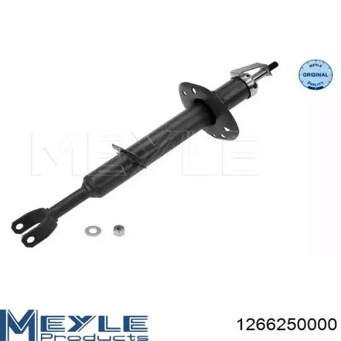 Do koszyka RS316997 Raiso Amortyzator przedni