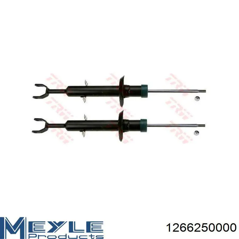Amortyzator przedni RS316997 Raiso