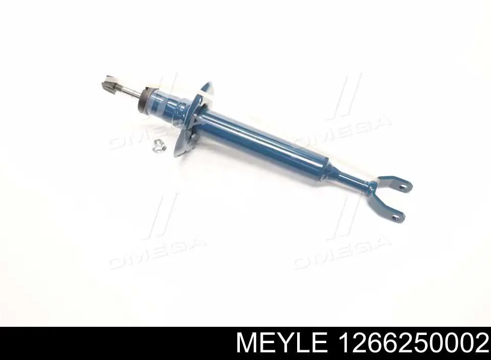 Amortyzator przedni RS170811 Raiso