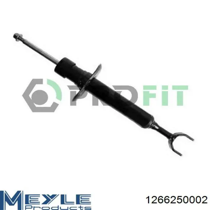 Amortyzator przedni RS170811 Raiso