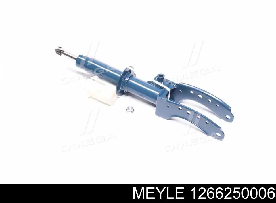 RS317241 Raiso Amortyzator przedni lewy