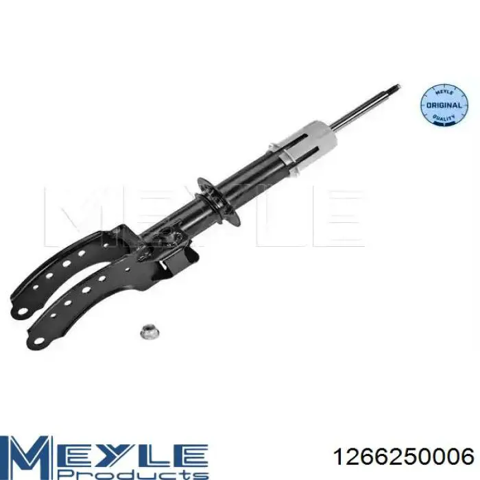 Amortyzator przedni lewy Raiso RS317241 cena, od 94,03 USD