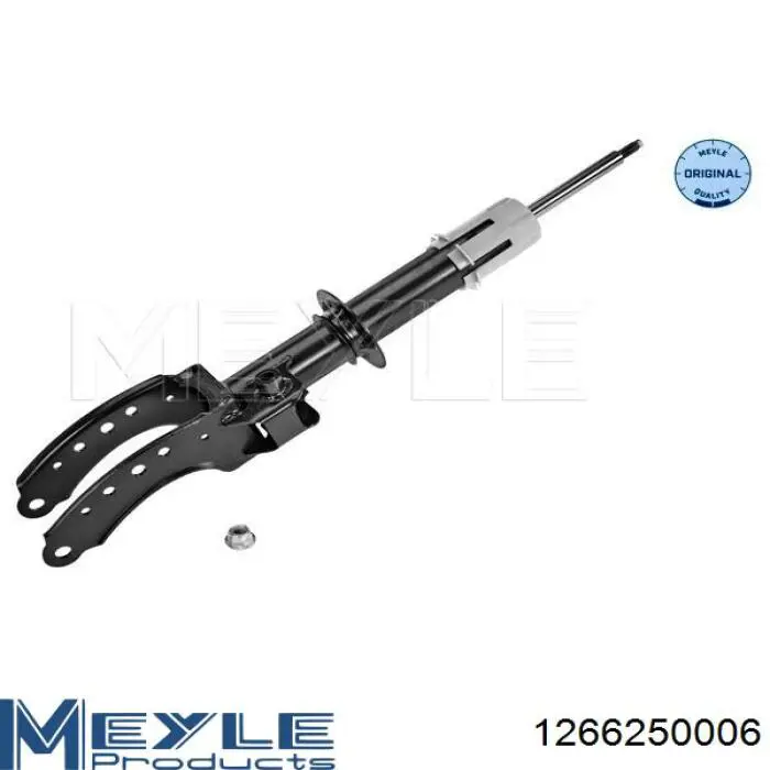 Do koszyka RS317241 Raiso Amortyzator przedni lewy