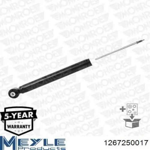 Amortyzator tylny RS318202 Raiso