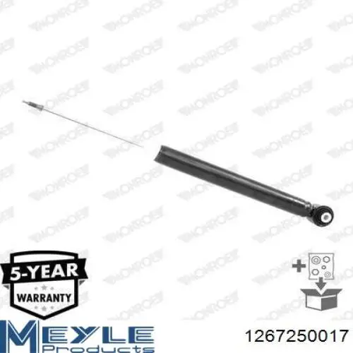 Amortyzator tylny Raiso RS318202 cena, od 37,03 USD