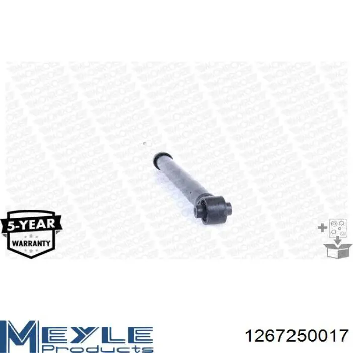 Amortyzator tylny Raiso RS318202