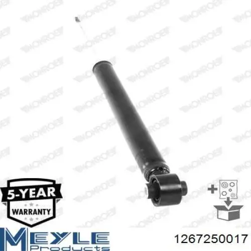 Do koszyka RS318202 Raiso Amortyzator tylny