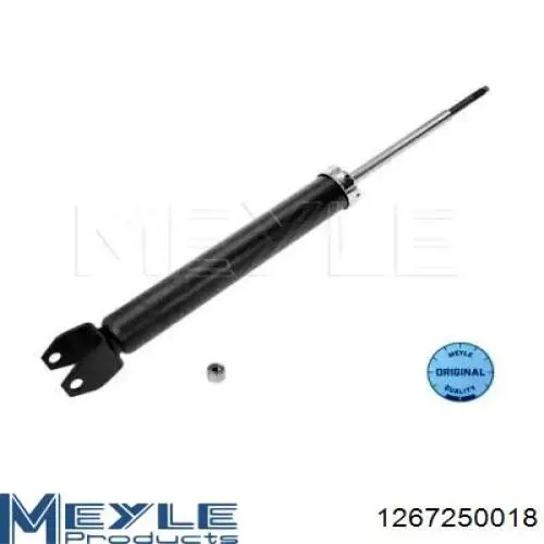 Amortyzator tylny RS316998 Raiso