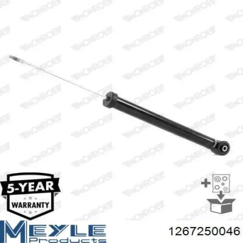 Amortyzator tylny Raiso RS556273 cena, od 35,34 USD