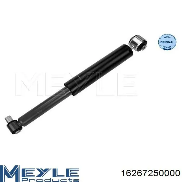 Amortyzator tylny Raiso RS290739 cena, od 45,63 USD