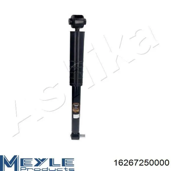 Do koszyka RS290739 Raiso Amortyzator tylny