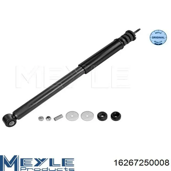 Do koszyka RS315530 Raiso Amortyzator tylny