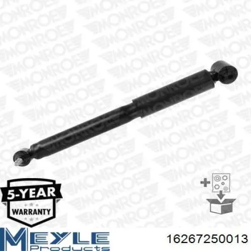 Amortyzator tylny Raiso RS310058 cena, od 37,57 USD