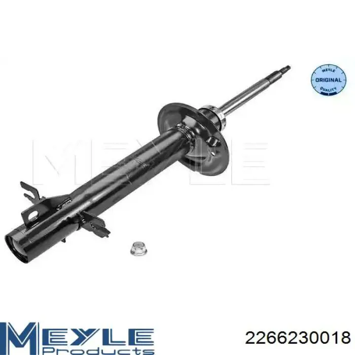 Amortyzator przedni Raiso RS314708 cena, od 73,11 USD