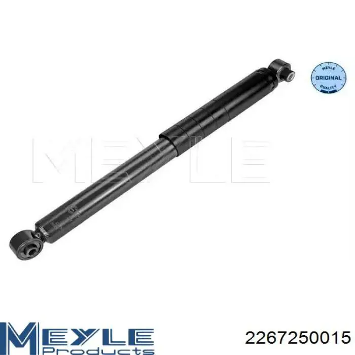Do koszyka 51815192 Fiat/Alfa/Lancia Amortyzator tylny