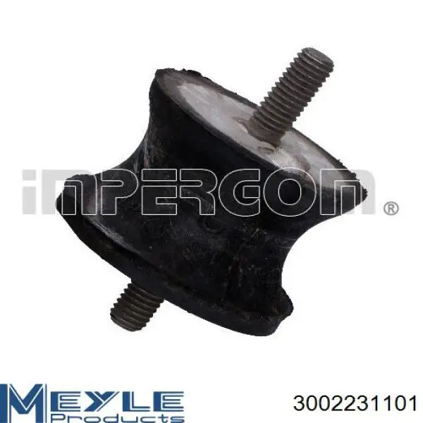 Do koszyka 3002231101 Meyle Poduszka (podpora skrzyni biegów)