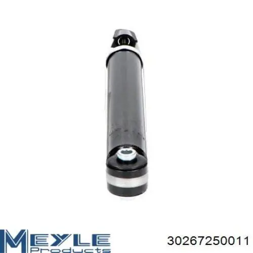 Amortyzator tylny prawy Raiso RS318508 cena, od 34,14 USD