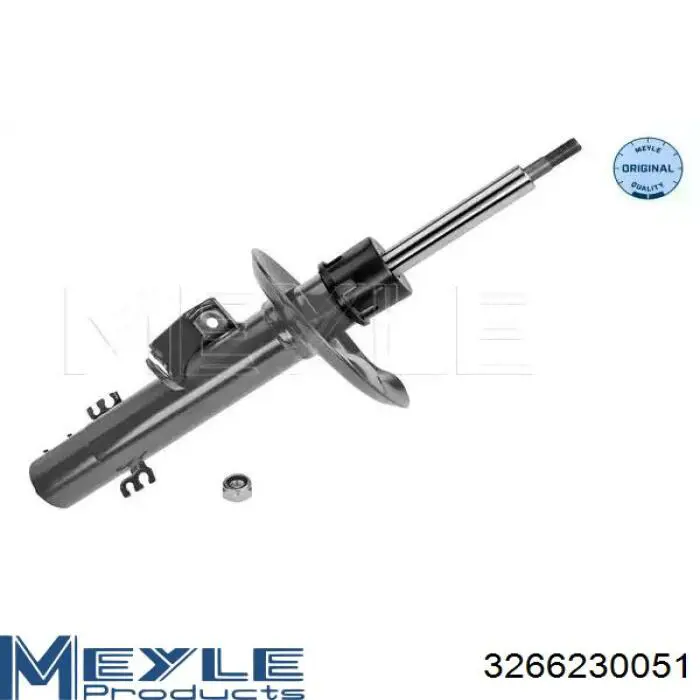 RS317571 Raiso Amortyzator przedni prawy