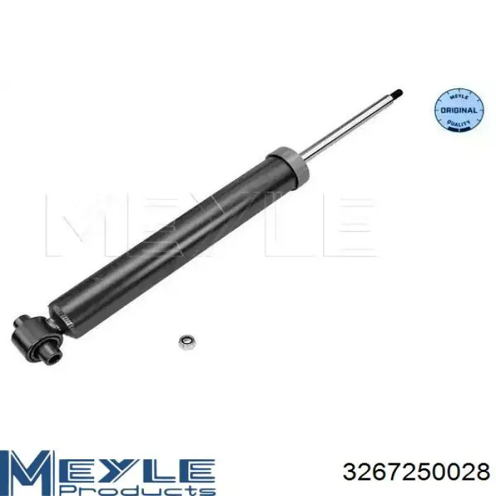 RS315872 Raiso Amortyzator tylny