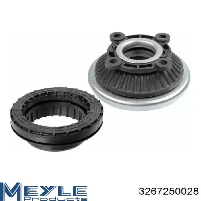 Amortyzator tylny Raiso RS315872 cena, od 79,61 USD