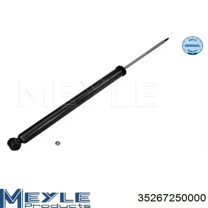 Do koszyka RS313419 Raiso Amortyzator tylny