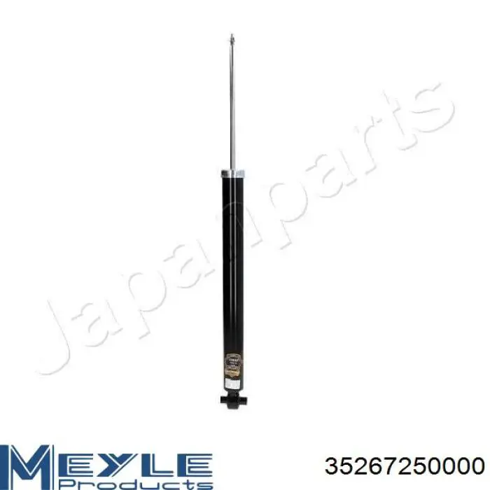 Amortyzator tylny RS313419 Raiso