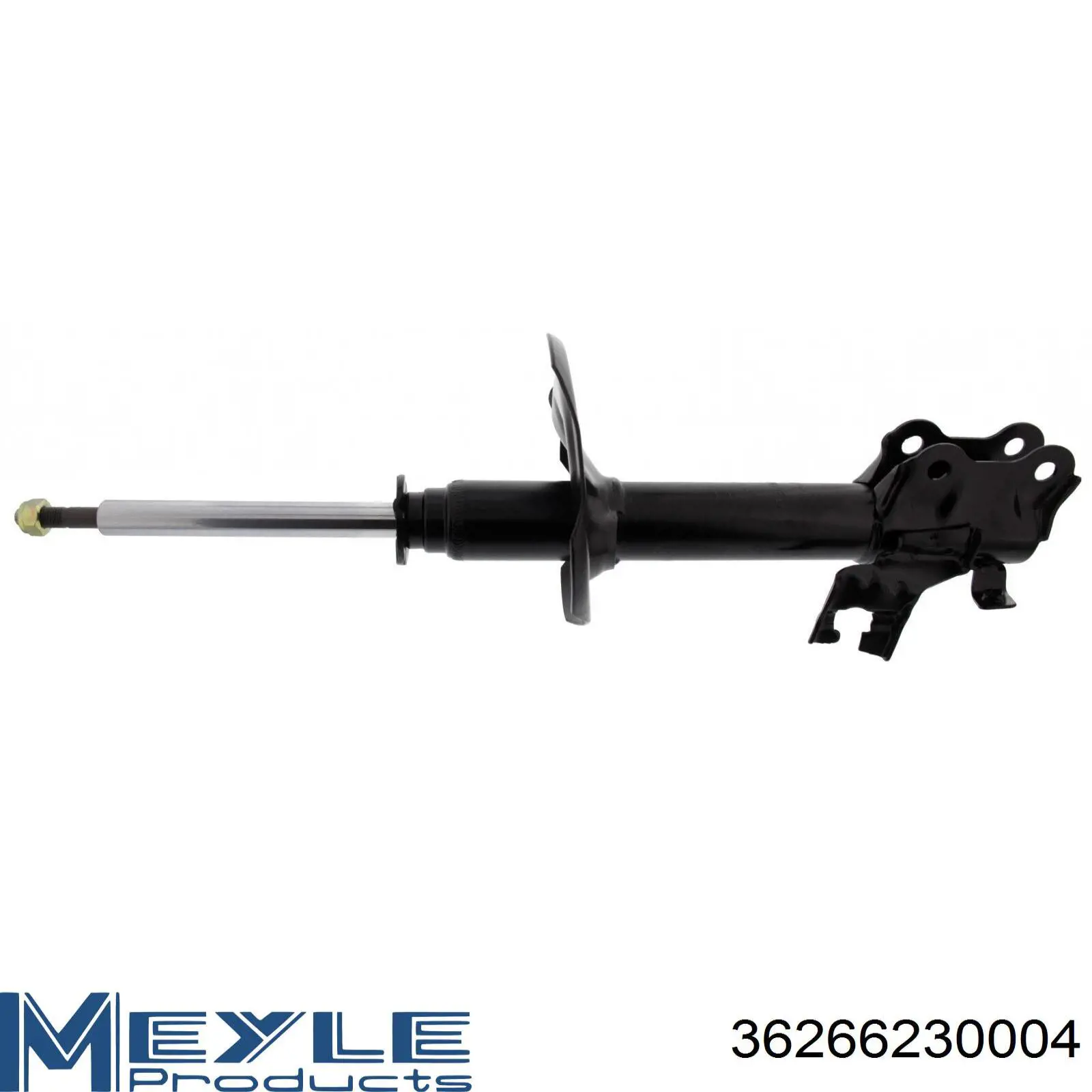 Amortyzator przedni lewy RS317157 Raiso