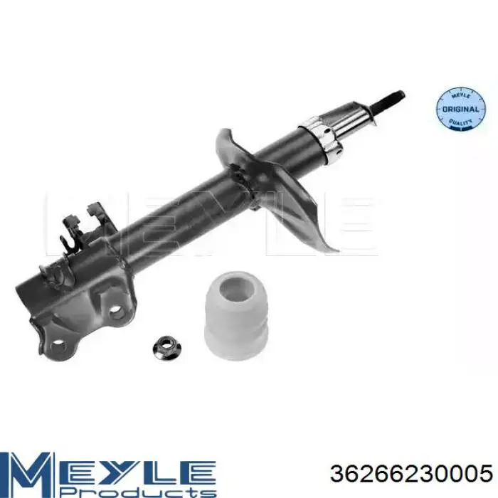 Amortyzator przedni prawy RS317158 Raiso