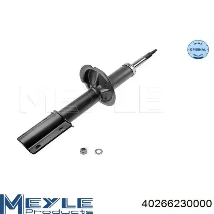 RS280977 Raiso Amortyzator przedni