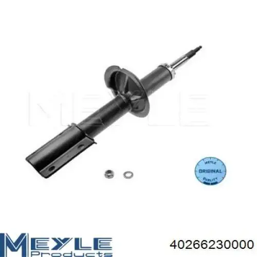 Amortyzator przedni Raiso RS280977 cena, od 87,22 USD