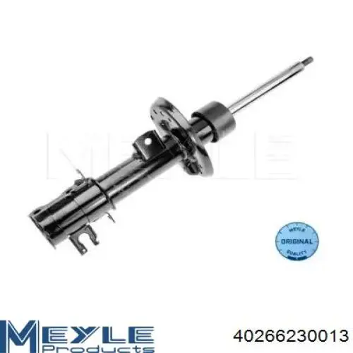 Amortyzator przedni lewy RS315125 Raiso