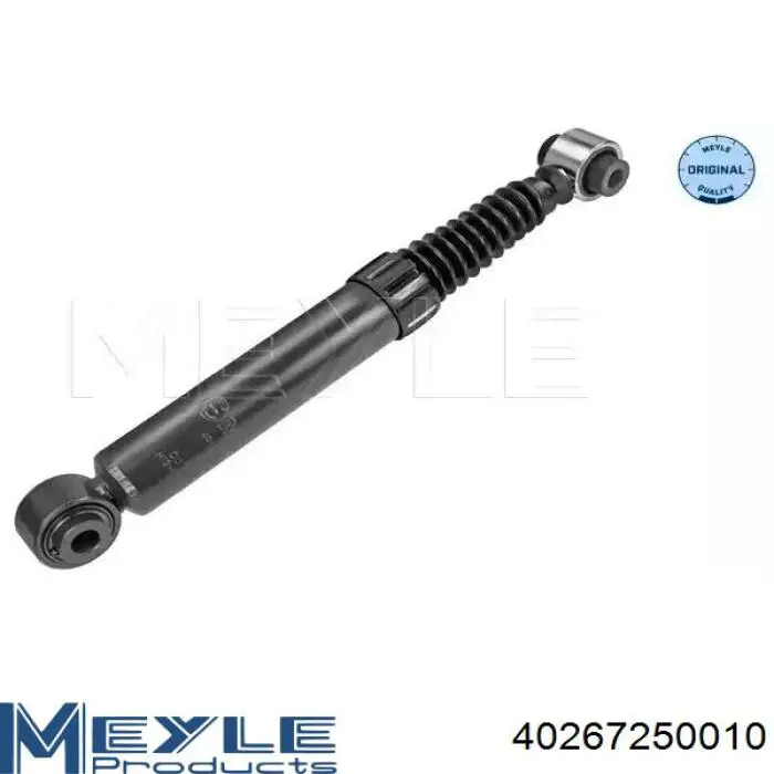 RS314934 Raiso Amortyzator tylny