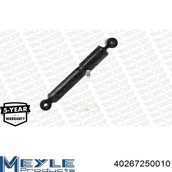 Amortyzator tylny Raiso RS314934 cena, od 63,04 USD