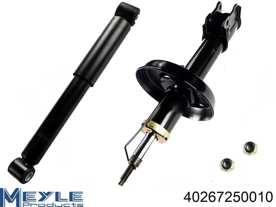 Do koszyka RS314934 Raiso Amortyzator tylny