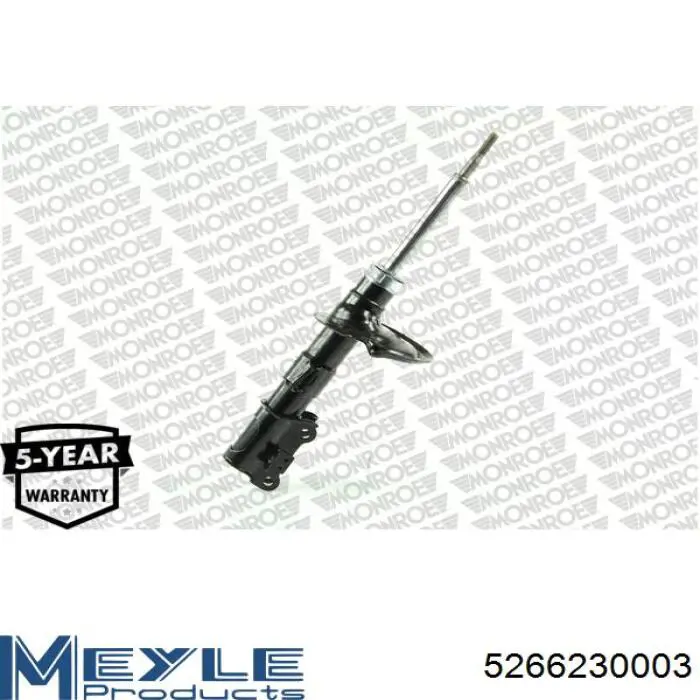 Amortyzator przedni RS554046 Raiso