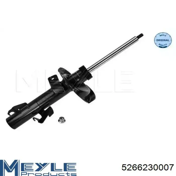 Amortyzator przedni lewy Raiso RS313667 cena, od 52,93 USD