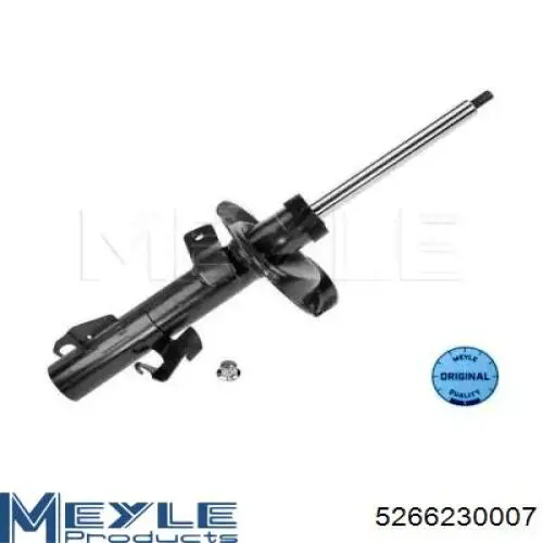Amortyzator przedni lewy RS313667 Raiso